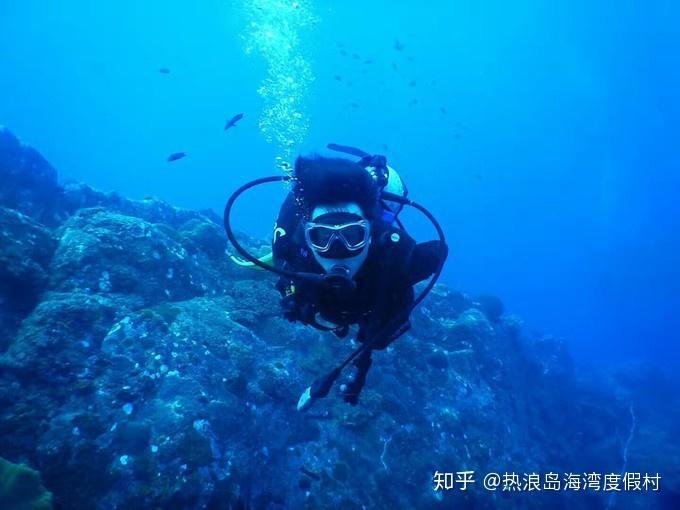 古龙的另一面：少时离家“混社会”、与父亲决裂、30余年不相见